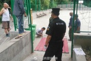 篮球场之争落幕：洛阳王城公园关闭球场，另辟新地平息风波