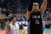 龙争虎斗映丹心：CBA内线群英谱